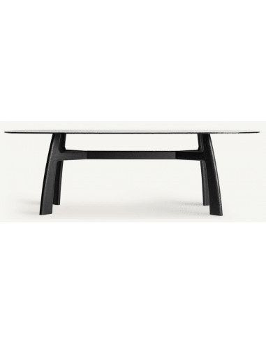 SUCHDOL Spisebord i asktræ og glas 230 x 110 cm - Sort